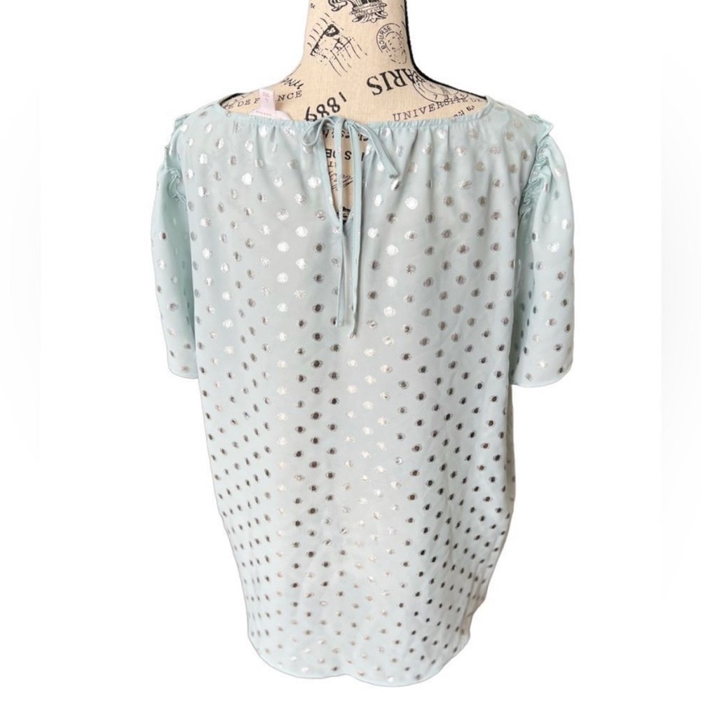 L.C. Light blue flower short sleeve silver polka dots top. Size large. - Picture 2 of 2